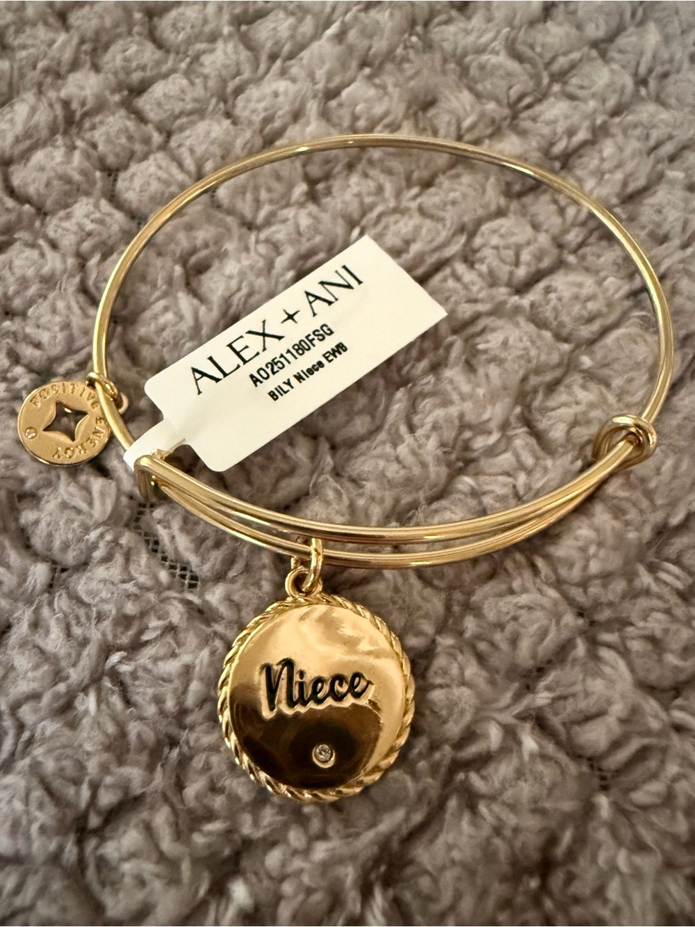 Alex and Ani Gold Niece Disc Charm Bangle Bracelet